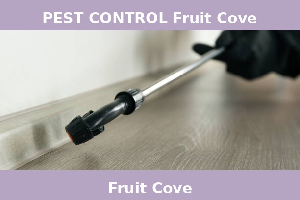 PEST CONTROL Fruit Cove